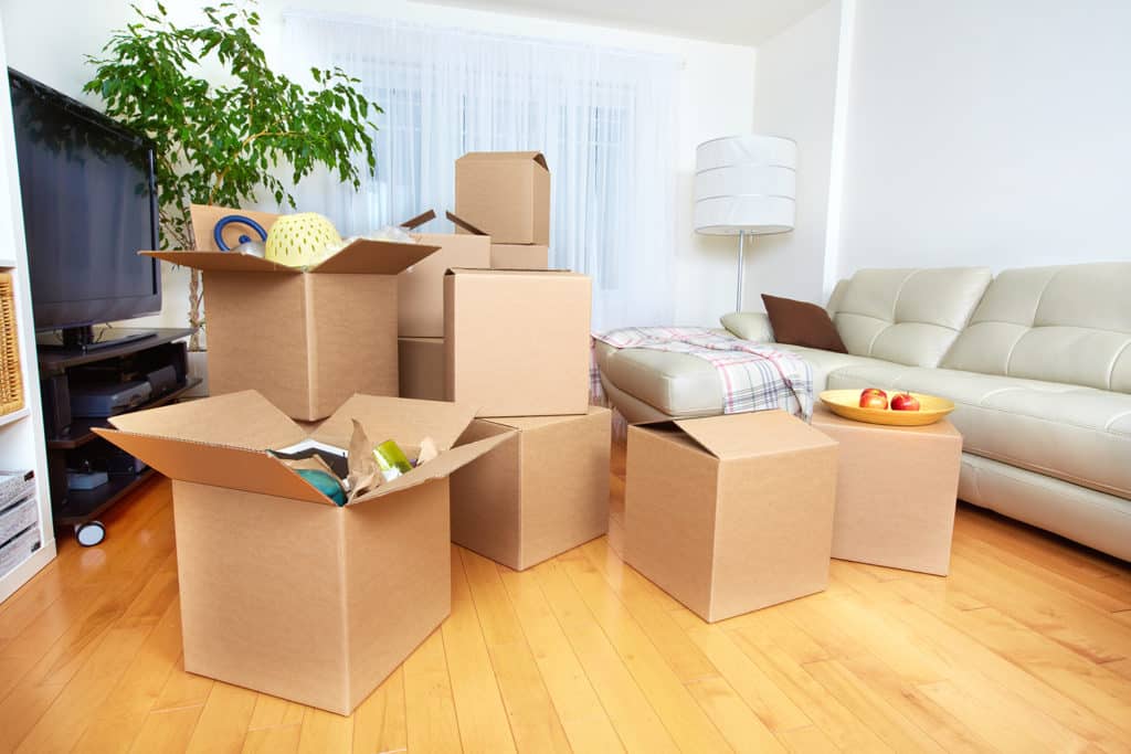 Boxes — Removalist in Campbelltown NSW 2560