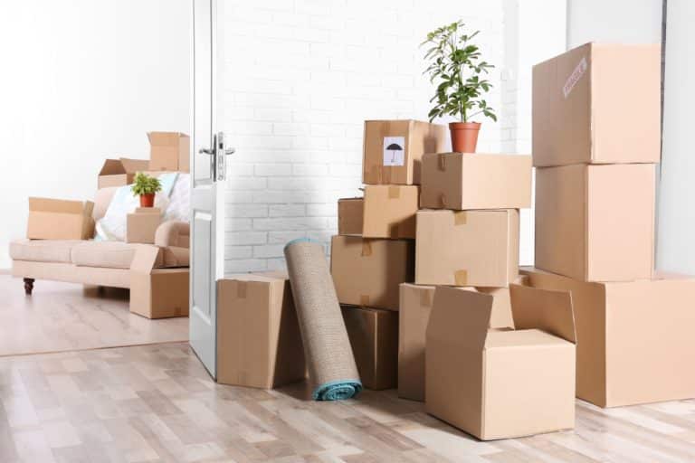 Boxes Moved Into A New House — Removalist in Campbelltown NSW 2560